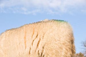 41_57093502-1E4F-37DC-71921DC5E935A2A9